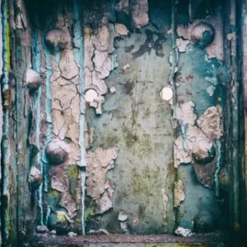 Weekendowe warsztaty plenerowe