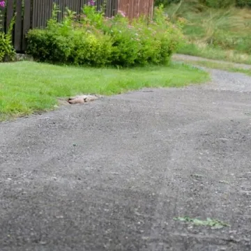 Ulica Guławska w Płoszowie doczekała się nowej nawierzchni