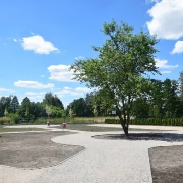 Powstaje budżetowy park na Wymysłówku 