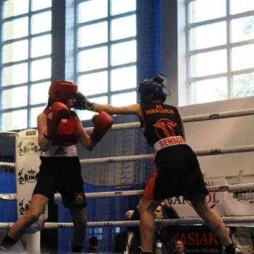 Boks królował w Radomsku