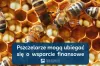 Pszczelarze mogą ubiegać się o wsparcie finansowe