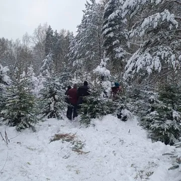 II edycja „choinkobrania” w Radomsku