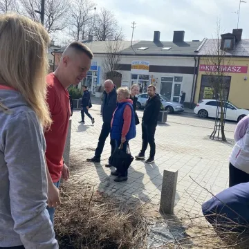 Zielone Radomsko. Darmowe sadzonki dla mieszkańców