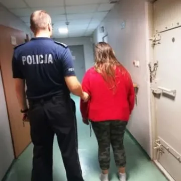 Areszt za oszustwa internetowe