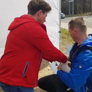 W schronisku w Radomsku bezpłatnie czipowano zwierzęta