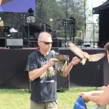 Dni Radomska 2018: Pokazy sokolnika