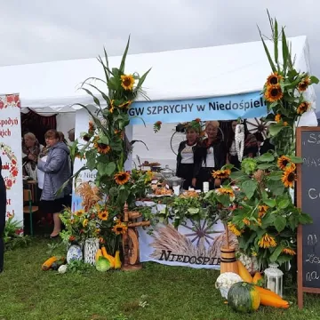 Piknik rodzinny województwa łódzkiego w Wielgomłynach