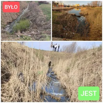 W Radomsku zorganizowano „Operację Czysta Rzeka”