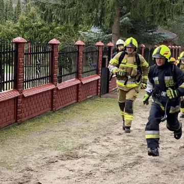 Pobiegli na Bobrach. Już po raz trzeci