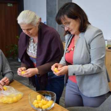 Ustalono kolejność projektów BO Radomska na karcie do głosowania