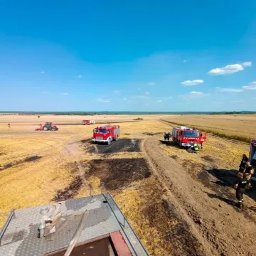 W Korytnie spłonęło 15 ha ścierniska