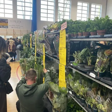 Rośliny opanowały Radomsko. Festiwal Roślin odbył się po raz pierwszy