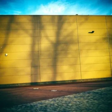 Weekendowe warsztaty plenerowe