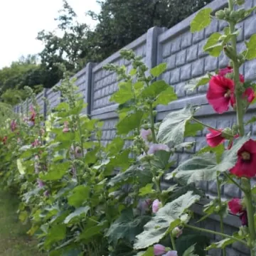 Sprawdzili jak wyglądają place zabaw w Radomsku