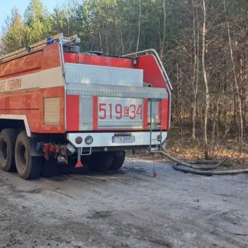 Pożar lasu w Małej Wsi w gm. Żytno