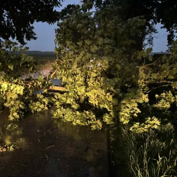 Nawałnica przeszła przez region. Powalone drzewa, uszkodzone dachy