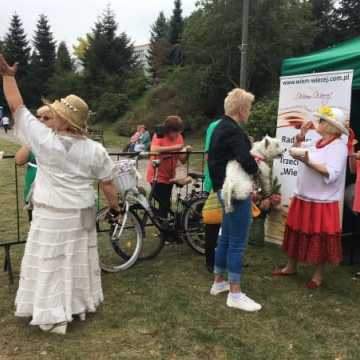 Jarmark Powiatowy 2018 w parku Solidarności