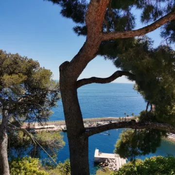 Staż na Lazurowym Wybrzeżu uczniów Ekonomika dobiega końca