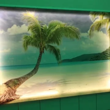 Nowe oblicze radomszczańskiego basenu