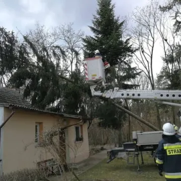 7 interwencji straży pożarnej z powodu silnego wiatru
