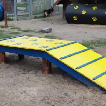 W schronisku dla zwierząt w Radomsku powstał Mini Dog Park