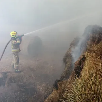 Słoma w ogniu w Napoleonowie