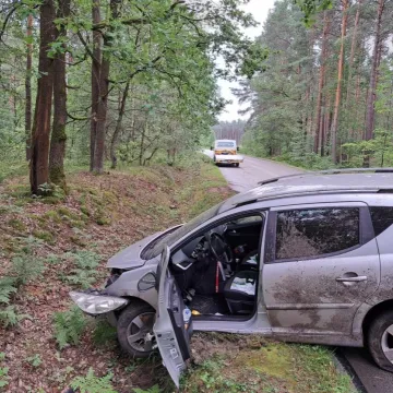 24-letni kierowca wjechał w drzewo. Prawdopodobnie nie dostosował prędkości do warunków panujących na drodze