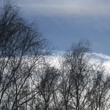 PUP Radomsko: Giełdy pracy dla agencji Human & Hunter i Frigo Logistics