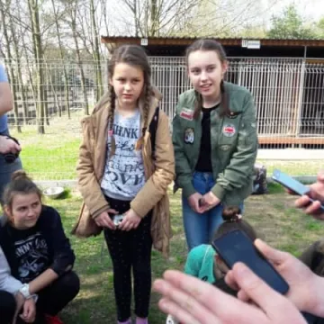 Z pomocą dla zwierząt ze schroniska