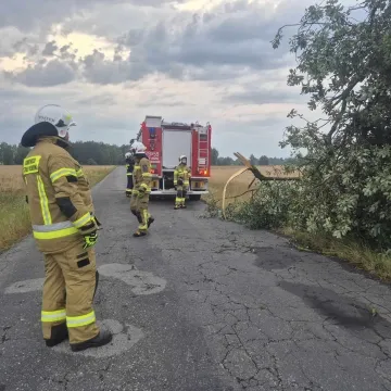 [WIDEO] Potężna nawałnica nad Radomskiem. Strażacy już w akcji