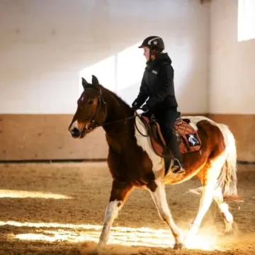 Zdobyli odznaki jeździeckie 