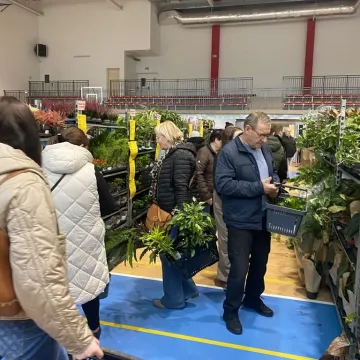 Rośliny opanowały Radomsko. Festiwal Roślin odbył się po raz pierwszy