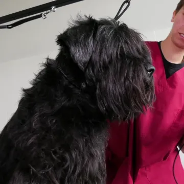 Dni Otwarte w ZSCKR w Dobryszycach