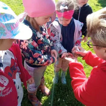Dzień Zdrowia Roślin z przedszkolakami