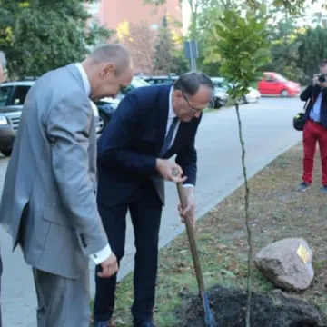 Gala na 50-lecie MDK