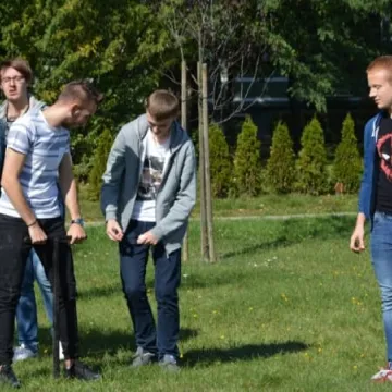 Krokusy zakwitną na „Wielorybku”