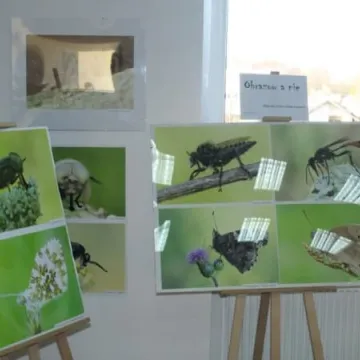 To jest rok Moniuszki