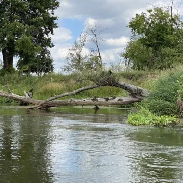 ERA Travel zaprasza na spływy kajakowe