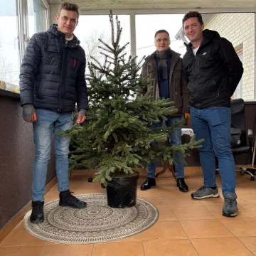 Drugie życie choinek