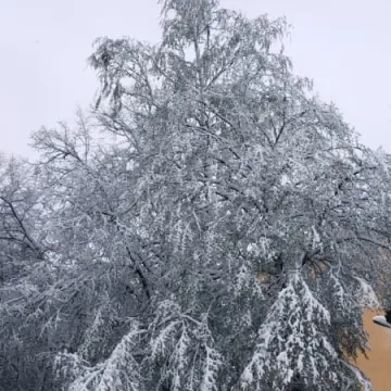 Zima powróciła. Miasto bez prądu i wody 