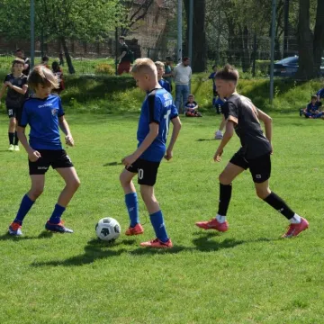 XXV Puchar Tymbarku. Radomsko gospodarzem regionalnych eliminacji