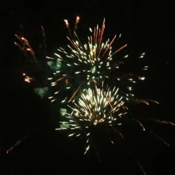 WOŚP 2017: Koncert finałowy w MDK