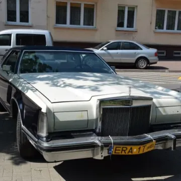 Food trucki opanowały plac 3 Maja