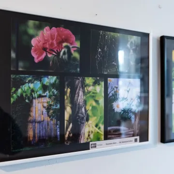 Zdobyli fotograficzne szlify