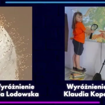 OPAL 2020. Wyniki konkursów festiwalowych