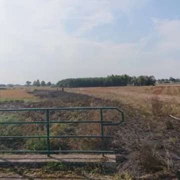 Paliły się trawy w Stępkach w gminie Dobryszyce