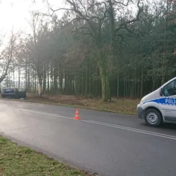 W kierunku Brudzic uderzyła w drzewo