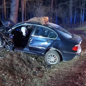 19-latek wjechał czołowo w drzewo