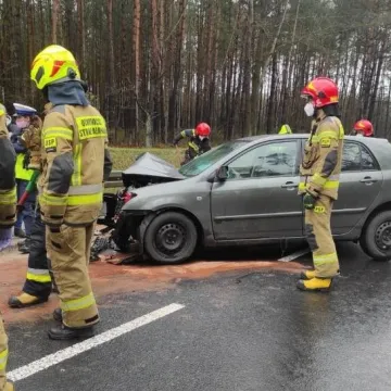 Czołowe zderzenie pojazdów w gm. Kamieńsk
