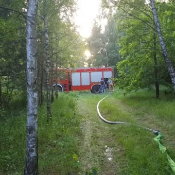Dąbrowa – pożar poszycia leśnego